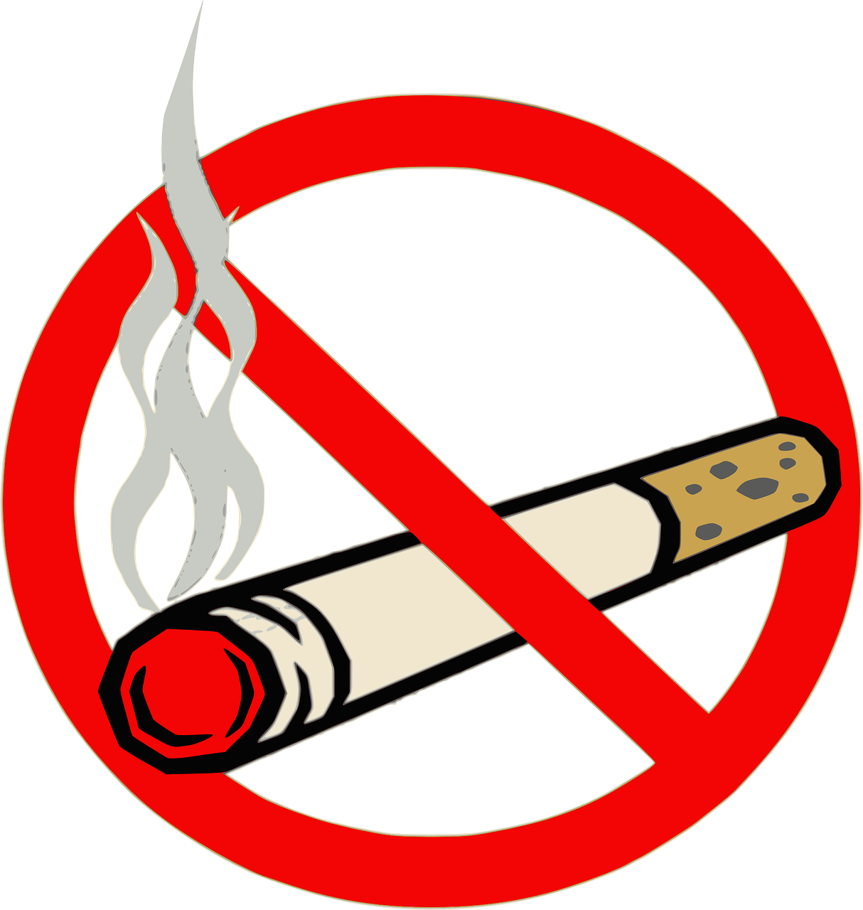 IELTS Essay: Banning Smoking in Public Places